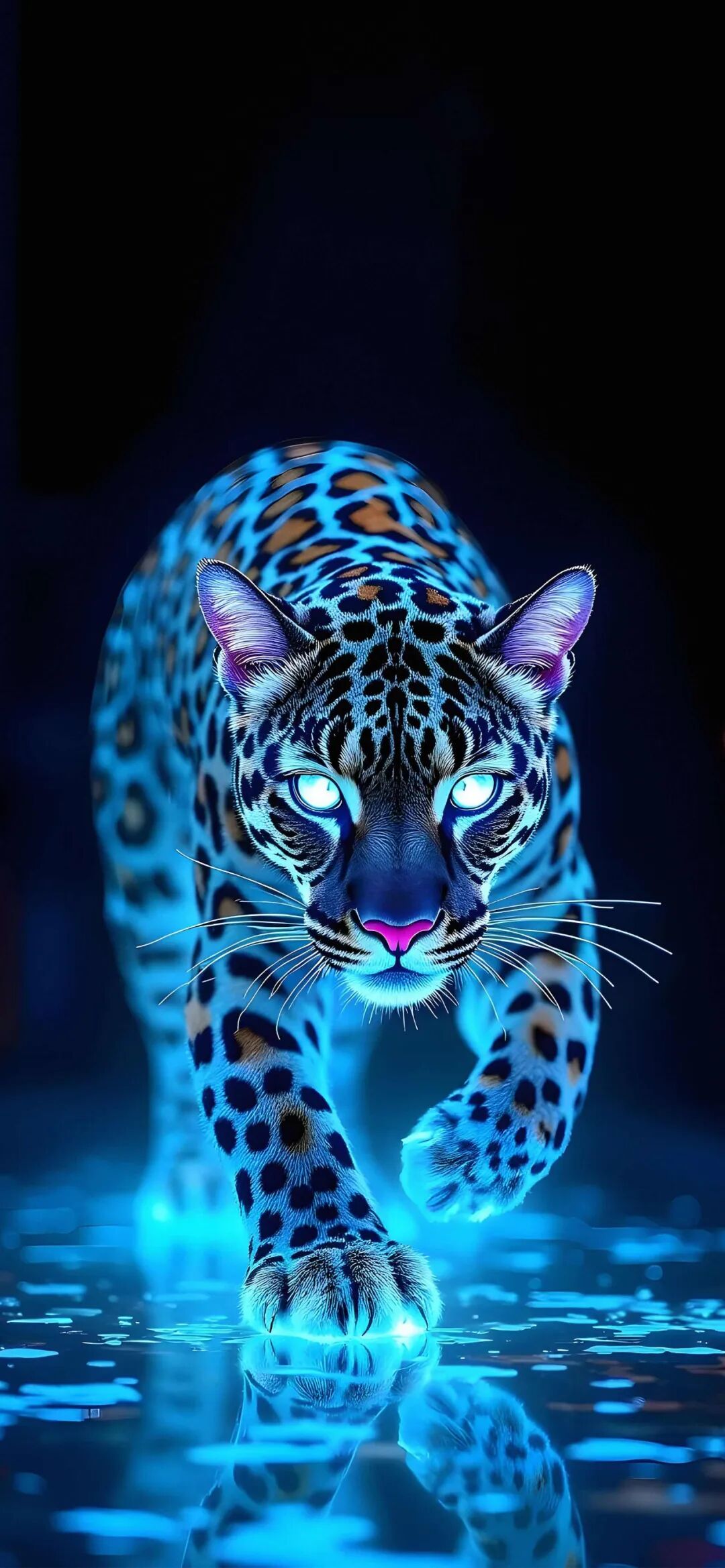 图片[11]-高清壁纸丨手机壁纸-淘靓机