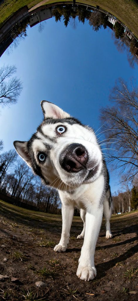 wxsync-2025-10-612c9fcf63298b6984c6bc66ee122721