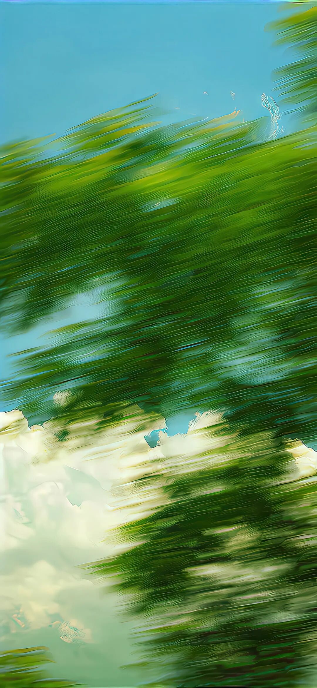 图片[11]-高清壁纸丨“8K超清全屏壁纸”-淘靓机