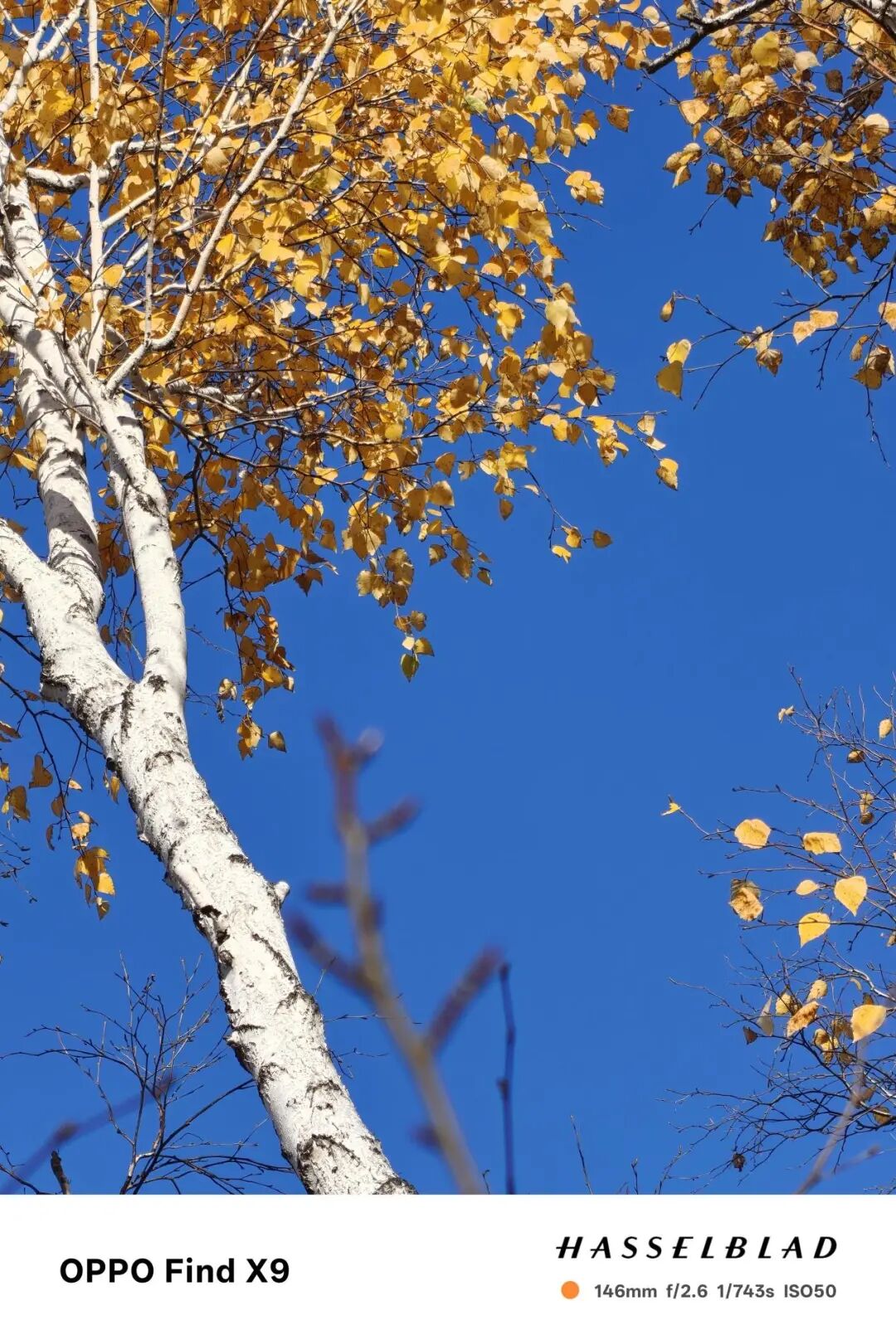 OPPO Find X9全面评测 强如Pro的超级标准版