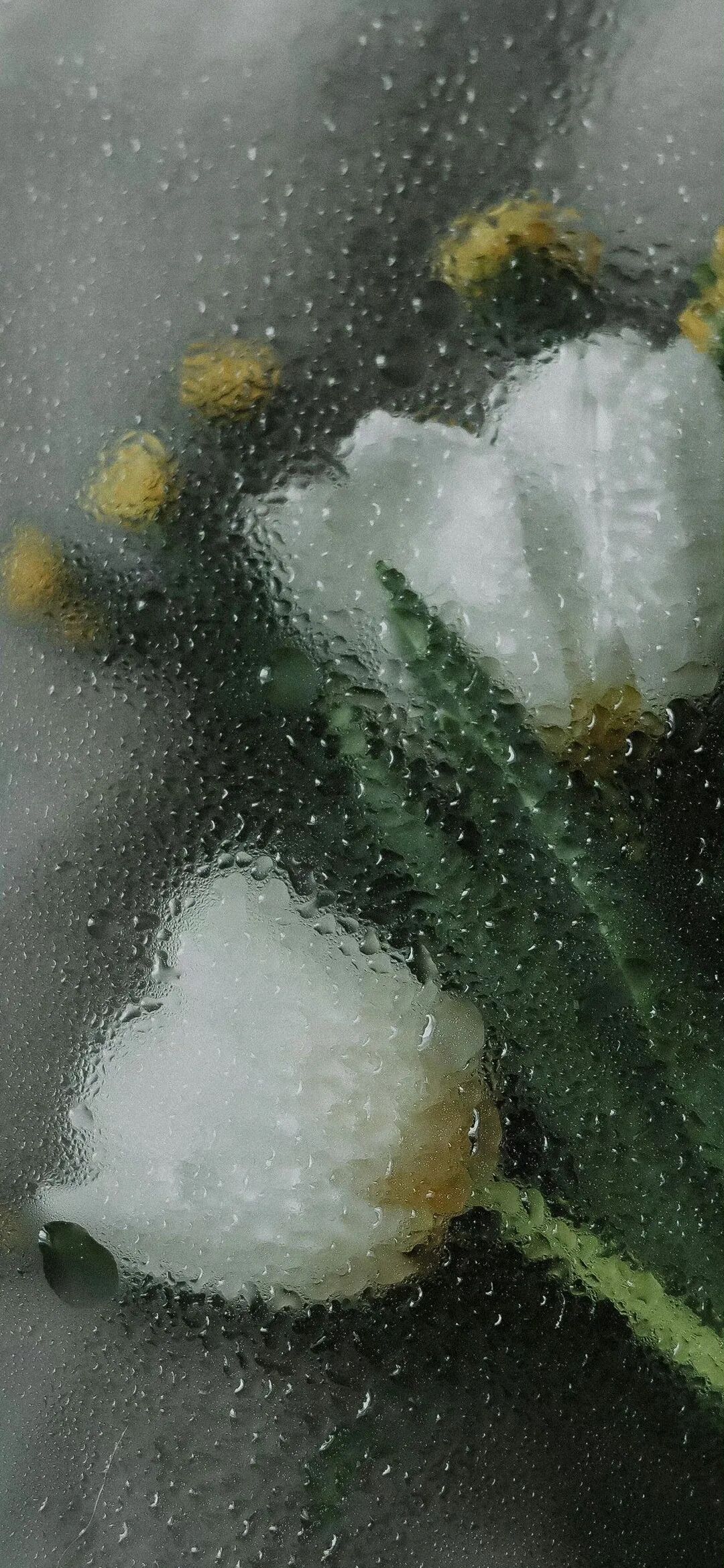 图片[9]-治愈风景手机壁纸-淘靓机